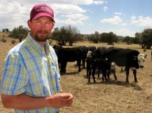 New Mexico State University beef cattle nutritionist Eric Scholljegerdes is conducting research on an amino acid feed supplement for pregnant cows to see if it improves the digestive system of their offspring. (NMSU photo by Jane Moorman)