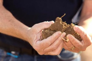 NMSU scientist David C. Johnson holds soil improved by agricultural management approaches to produce higher soil fungal community populations. Johnson's compost work suggests that the solution to global warming lies in the soil. (Courtesy photo)